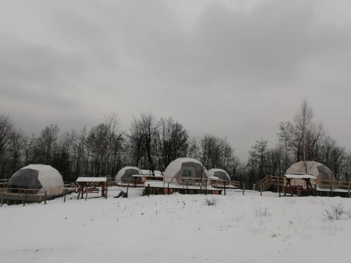 豪華帳篷 Brancoveanu Glamping